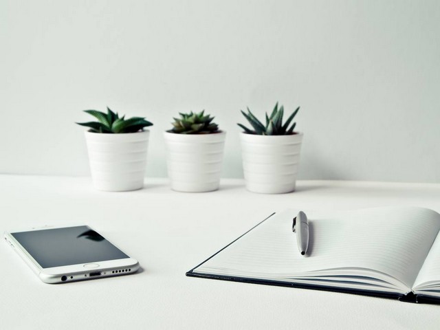 Проверка ИНН по паспорту