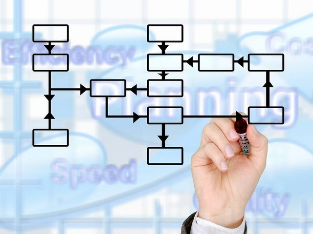 Руководители и учредители нескольких юридических лиц